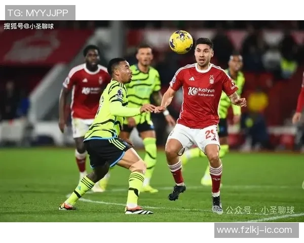 2018年英超足球明星阵容回顾及其赛季表现分析 2018年英超足球明星阵容回顾及其赛季表现分析