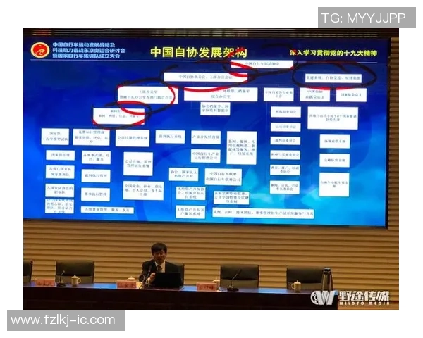 上海网球队如何通过节奏变革提升竞技水平与团队协作能力