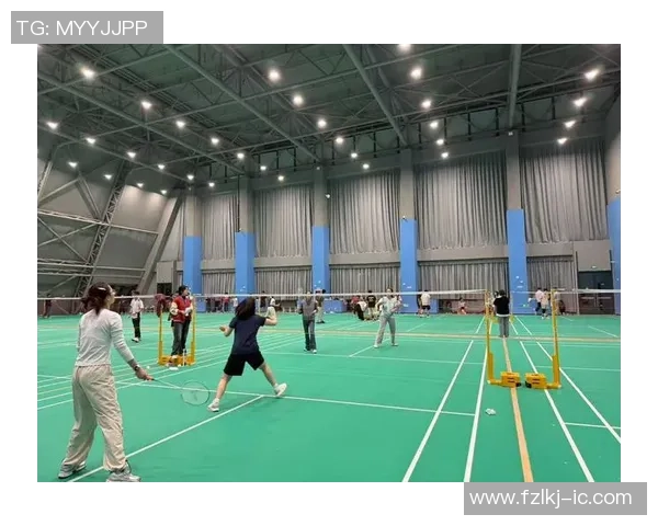 南京羽毛球队的节奏与激情聚焦羽毛球运动的魅力与发展